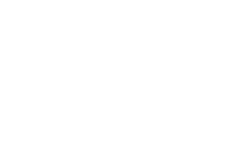 02_Kingfisher